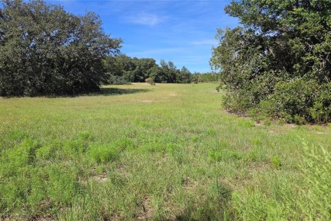 Land in Homosassa, Florida № 2388139 - photo 4