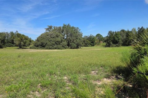 Land in Homosassa, Florida № 2388139 - photo 3