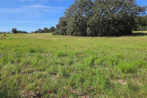 Land in Homosassa, Florida № 2388139 - photo 5