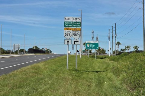 Land in Homosassa, Florida № 2388139 - photo 7