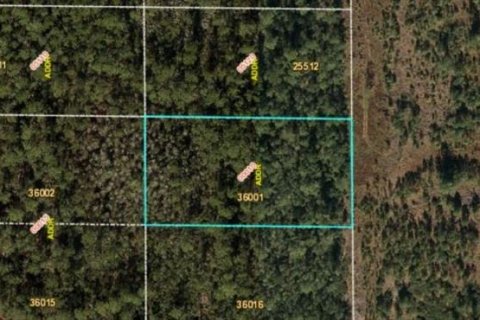 Land in Orlando, Florida № 2219145 - photo 2
