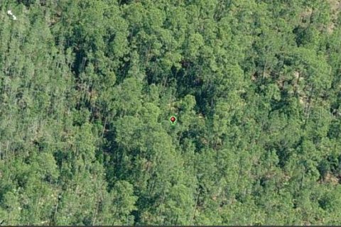 Land in Orlando, Florida № 2219145 - photo 3