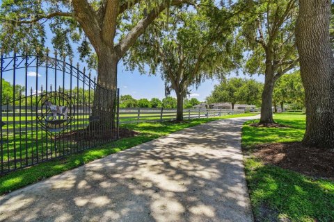 Casa en venta en Odessa, Florida, 5 dormitorios, 438.59 m2 № 1819042 - foto 12