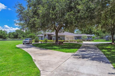 Casa en venta en Odessa, Florida, 5 dormitorios, 438.59 m2 № 1819042 - foto 2