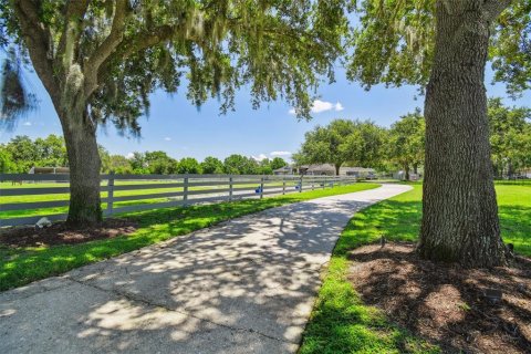 Casa en venta en Odessa, Florida, 5 dormitorios, 438.59 m2 № 1819042 - foto 13