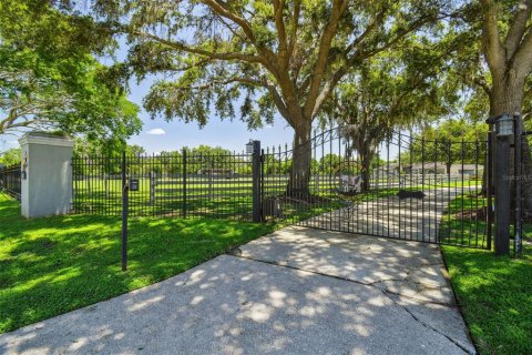 Casa en venta en Odessa, Florida, 5 dormitorios, 438.59 m2 № 1819042 - foto 10