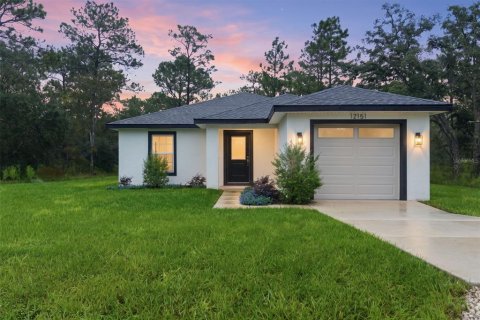 Villa ou maison à Weeki Wachee, Floride 3 chambres, 131.55 m2 № 2410423