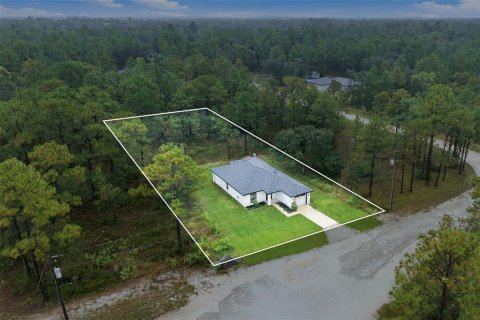 Villa ou maison à vendre à Weeki Wachee, Floride: 3 chambres, 131.55 m2 № 2410423 - photo 23