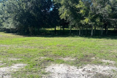 Commercial property in Okeechobee, Florida № 2384577 - photo 27