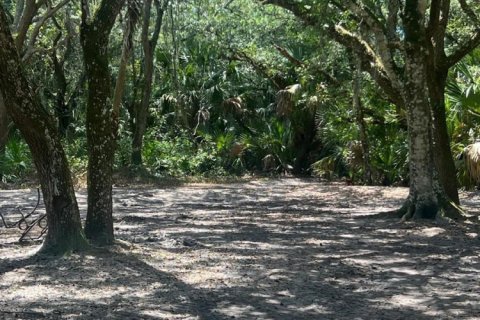 Commercial property in Okeechobee, Florida № 2384577 - photo 28
