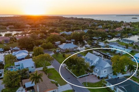 Villa ou maison à vendre à Palmetto, Floride: 4 chambres, 392.6 m2 № 2211481 - photo 3