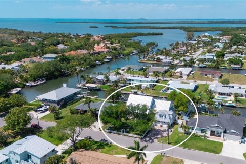 House in Palmetto, Florida 4 bedrooms, 392.6 sq.m. № 2211481