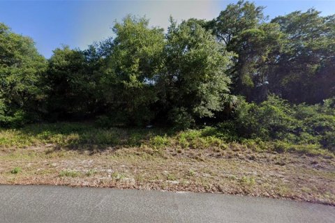 Land in Port Charlotte, Florida № 2164846