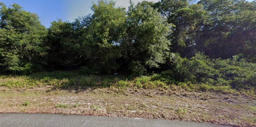 Land in Port Charlotte, Florida № 2164846