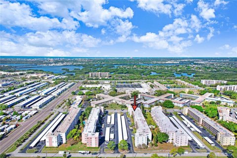 Condominio en venta en Saint Petersburg, Florida, 1 dormitorio, 106.84 m2 № 2098691 - foto 22