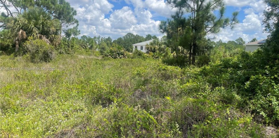 Land in Lehigh Acres, Florida № 1881500