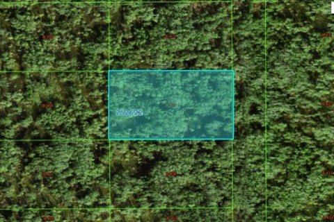 Terreno en Polk City, Florida № 2164083