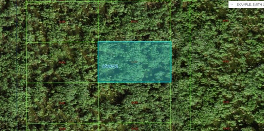 Terreno en Polk City, Florida № 2164083