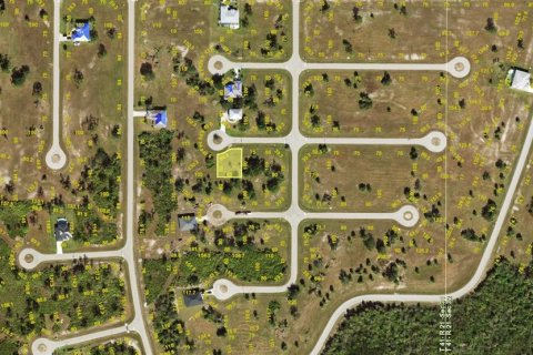 Land in Placida, Florida № 2161861 - photo 2
