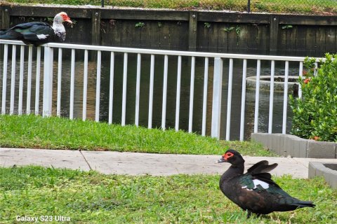 Condo in Dania Beach, Florida, 1 bedroom  № 1699418 - photo 19