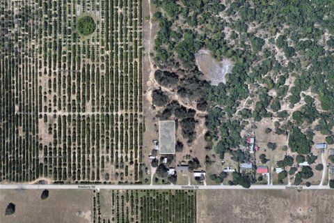 Land in Haines City, Florida № 1361152 - photo 2