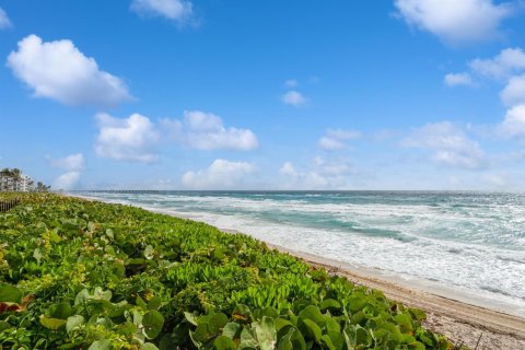Copropriété à louer à Palm Beach, Floride: 2 chambres, 137.12 m2 № 2262324 - photo 2