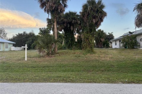 Land in Rotonda, Florida № 2160168 - photo 6