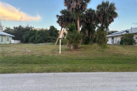 Land in Rotonda, Florida № 2160168 - photo 5