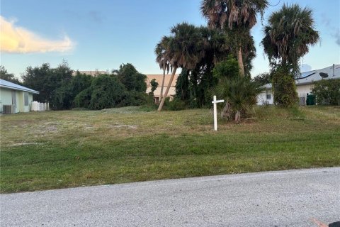 Land in Rotonda, Florida № 2160168 - photo 4
