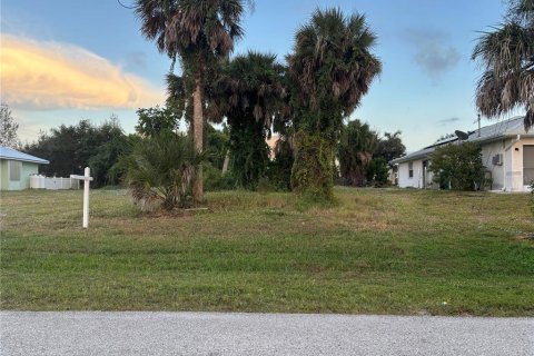 Land in Rotonda, Florida № 2160168 - photo 3