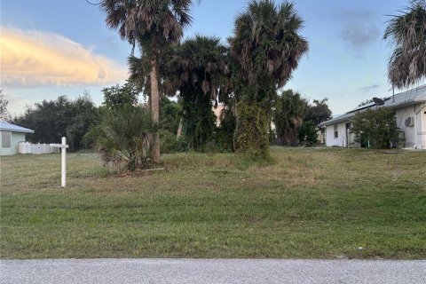 Land in Rotonda, Florida № 2160168 - photo 2