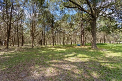 Villa ou maison à vendre à Williston, Floride: 2 chambres, 97.55 m2 № 2310096 - photo 3