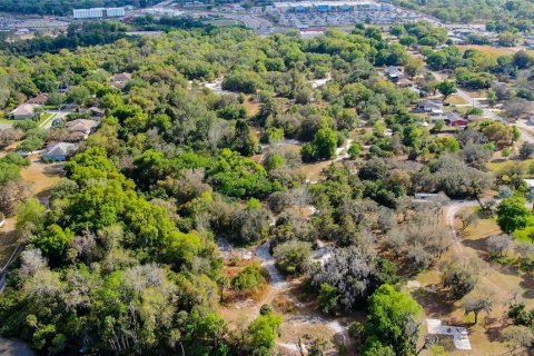 Land in Gibsonton, Florida № 223454 - photo 8