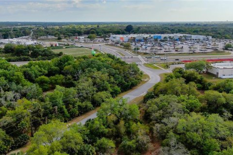 Land in Gibsonton, Florida № 223454 - photo 12