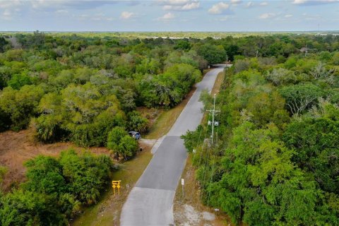 Land in Gibsonton, Florida № 223454 - photo 13