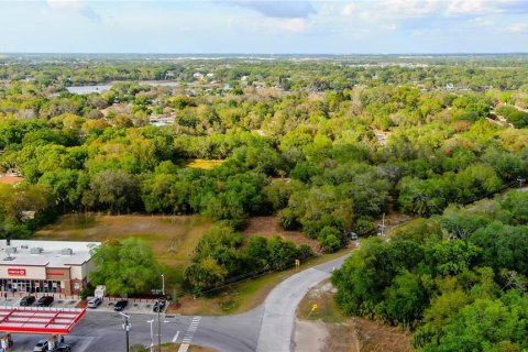 Land in Gibsonton, Florida № 223454 - photo 10