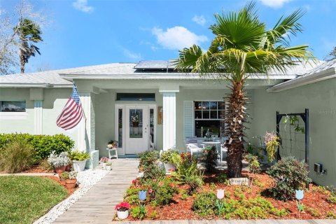House in Palm Coast, Florida 3 bedrooms, 219.62 sq.m. № 1510036 - photo 2