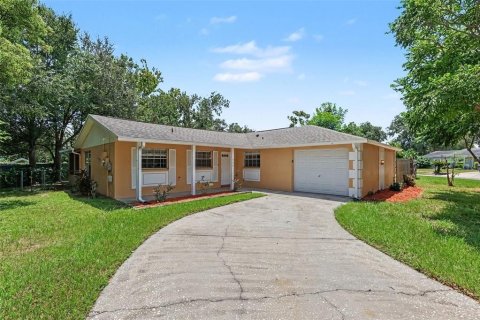 House in Brandon, Florida 4 bedrooms, 121.52 sq.m. № 2324620
