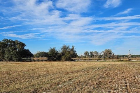 Terreno en venta en Citra, Florida № 1524774 - foto 13