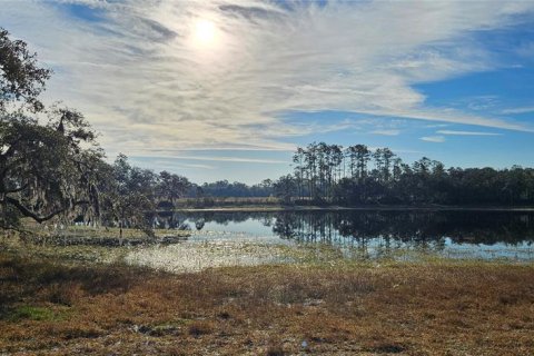 Terreno en venta en Citra, Florida № 1524774 - foto 5