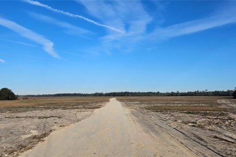 Terreno en venta en Citra, Florida № 1524774 - foto 16
