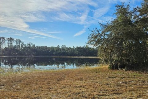 Terreno en venta en Citra, Florida № 1524774 - foto 10