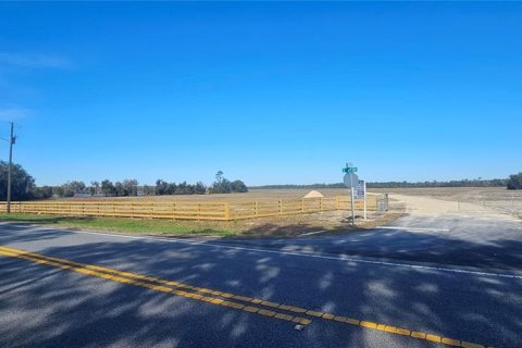 Terreno en venta en Citra, Florida № 1524774 - foto 15
