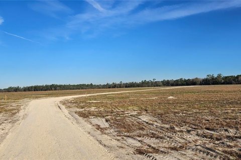Terreno en venta en Citra, Florida № 1524774 - foto 4