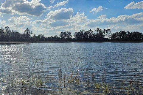 Terreno en venta en Citra, Florida № 1524774 - foto 17