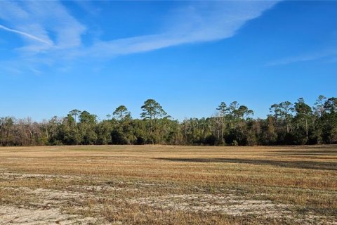 Terreno en venta en Citra, Florida № 1524774 - foto 11
