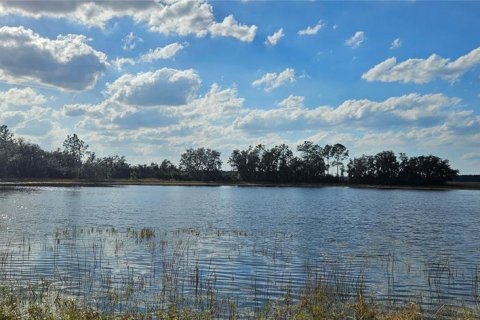 Terreno en venta en Citra, Florida № 1524774 - foto 18