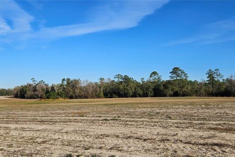 Terreno en venta en Citra, Florida № 1524774 - foto 7