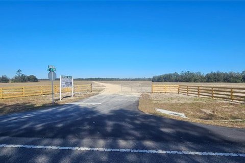 Terreno en venta en Citra, Florida № 1524774 - foto 3