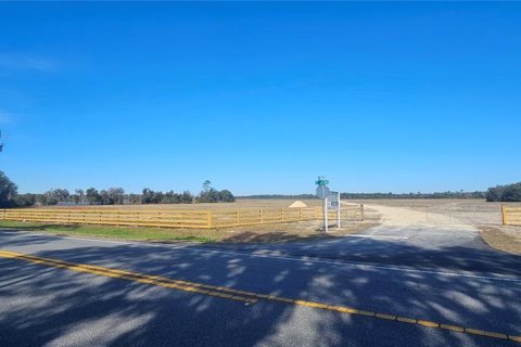 Terreno en venta en Citra, Florida № 1524774 - foto 8